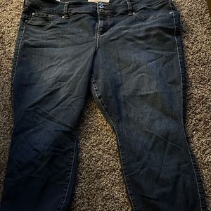Torrid Premium Jeans